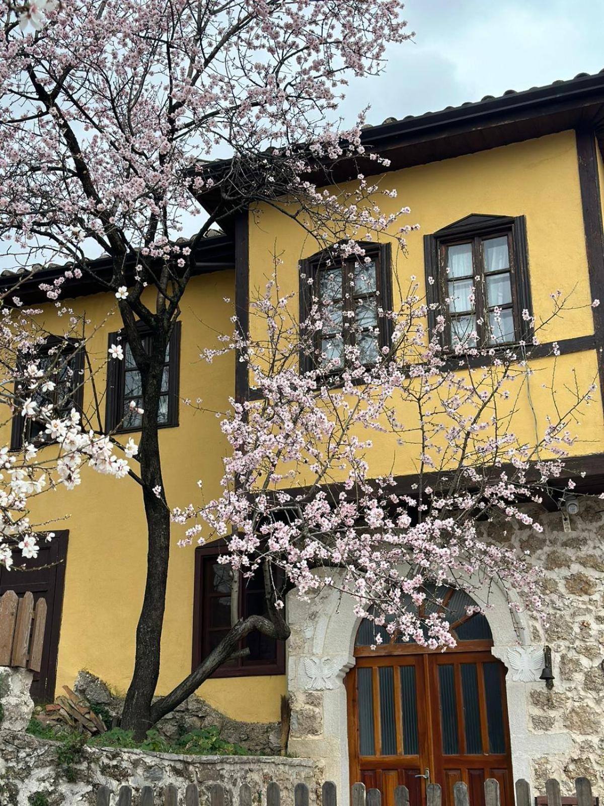 Rooms Nesti Inside Of Castle Krujë Exterior foto